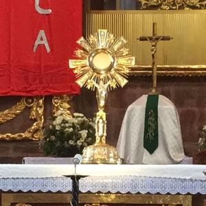 Meet your Posher, Erika